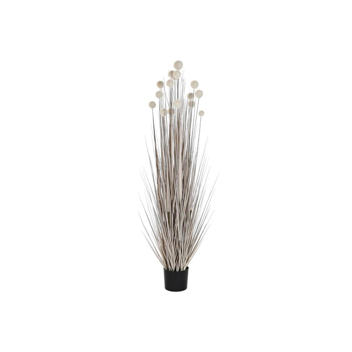 Plante décorative DKD Home Decor Pompons (45 x 45 x 150 cm)