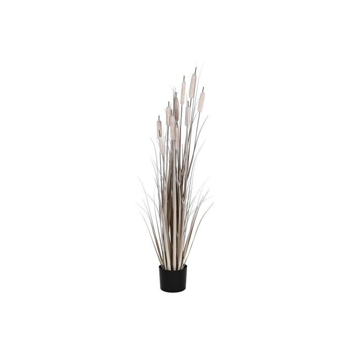 Plante décorative DKD Home Decor Joncs (35 x 35 x 120 cm)