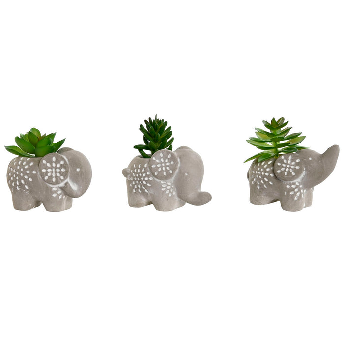 Planta Decorativa Home ESPRIT Polietileno Cemento 8 x 5 x 7 cm (3 Unidades)