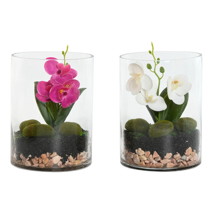 Planta Decorativa Home ESPRIT PVC Cristal 15 x 15 x 20 cm (2 Unidades)