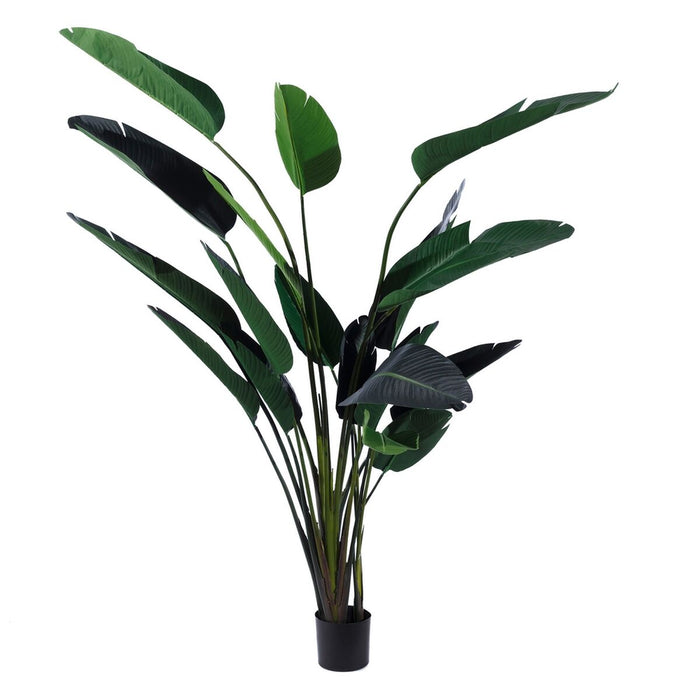 Plante décorative Polyéthylène Fer Ciment Oiseaux de paradis 245 cm 120 x 120 x 245 cm