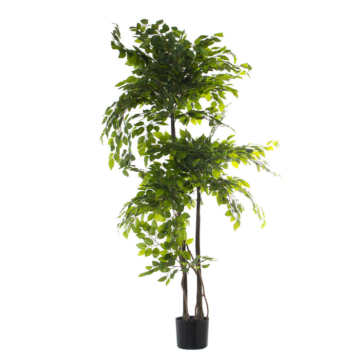 Planta Decorativa Alexandra House Living Plástico Ficus 18 x 22 x 162 cm