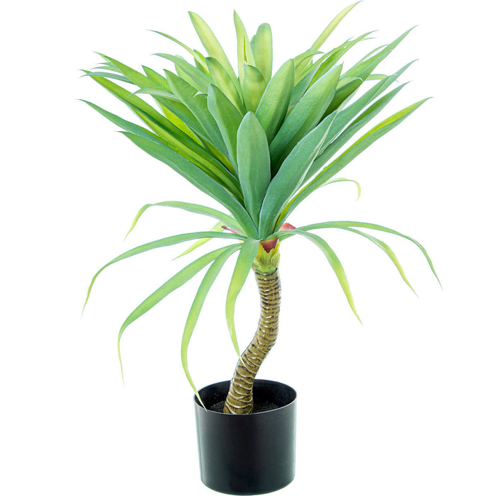 Plante décorative Alexandra House Living Plastique yucca 70 cm