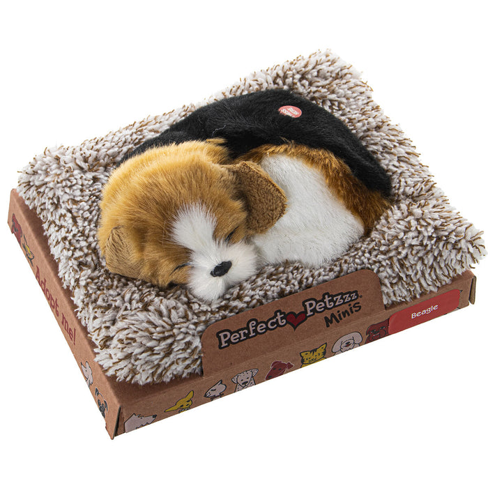 Peluche con Sonido Alexandra House Living Multicolor Perro 14 x 6 x 13 cm Mini