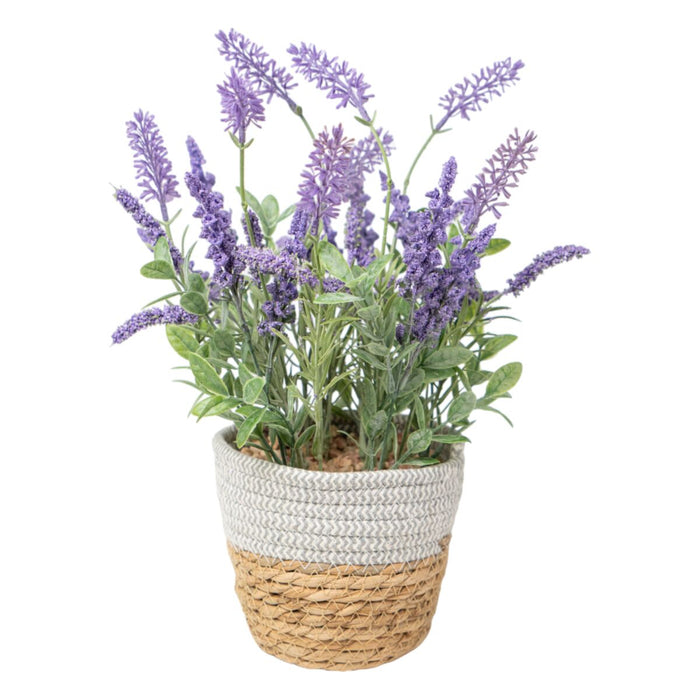 Decorative Plant Romimex Plastic Fibre Lavendar 15 x 38 x 15 cm