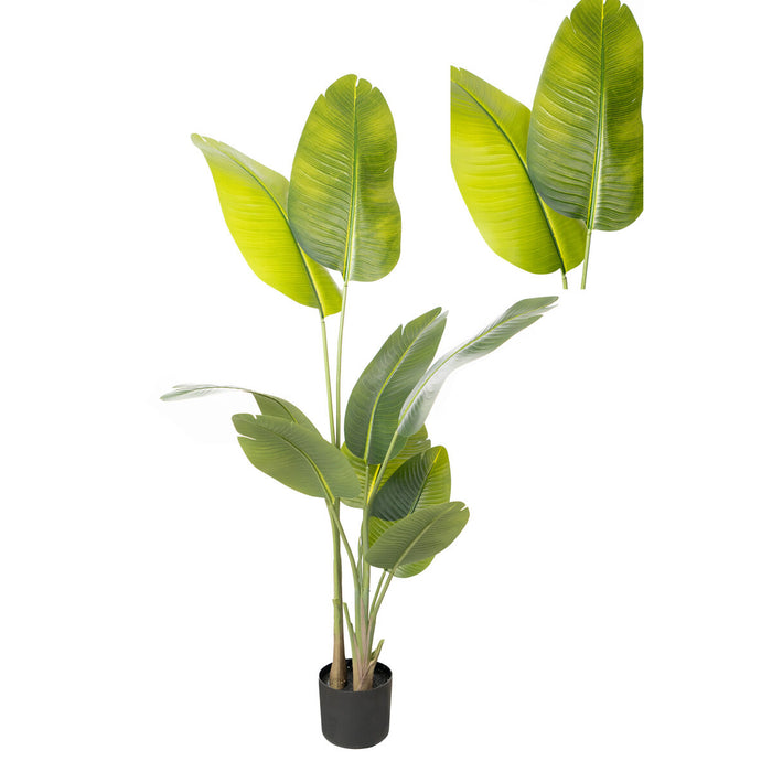 Plante décorative Romimex Strelitzia Plastique 70 x 140 x 70 cm