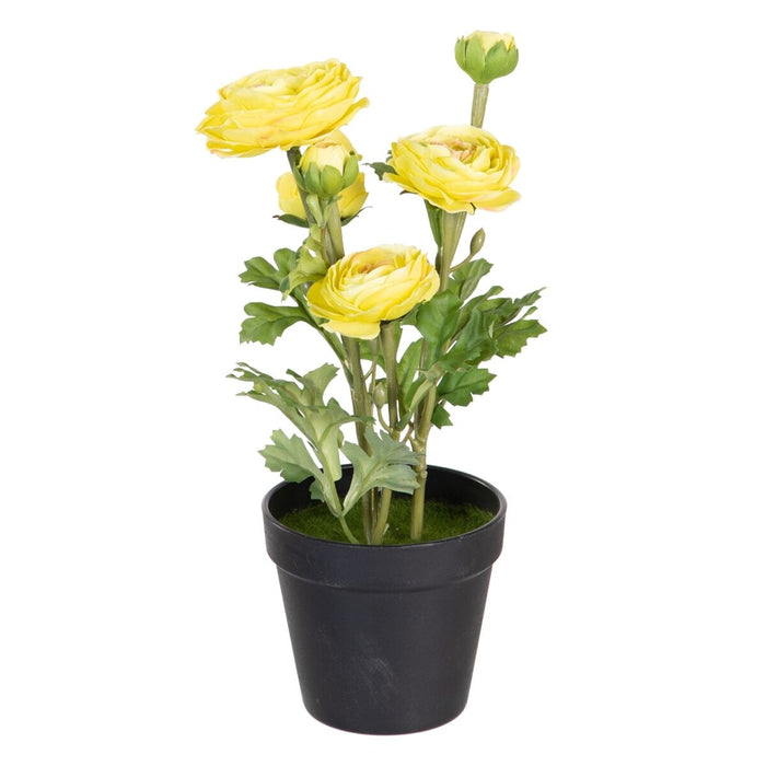 Plante décorative Polyester Polyéthylène Fer Fleur 12,5 x 12,5 x 37 cm