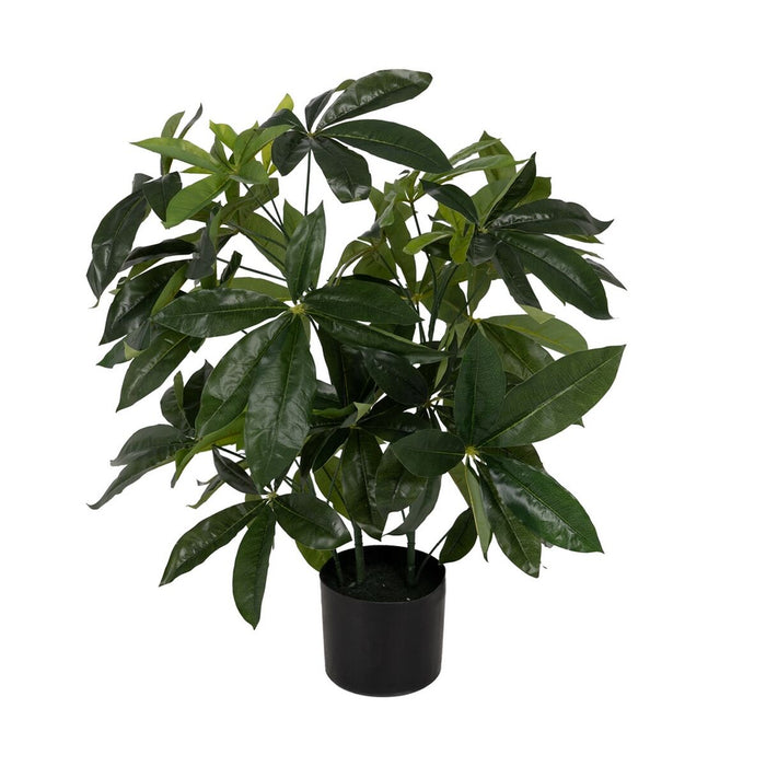 Planta Decorativa 50 X 50 X 70 CM