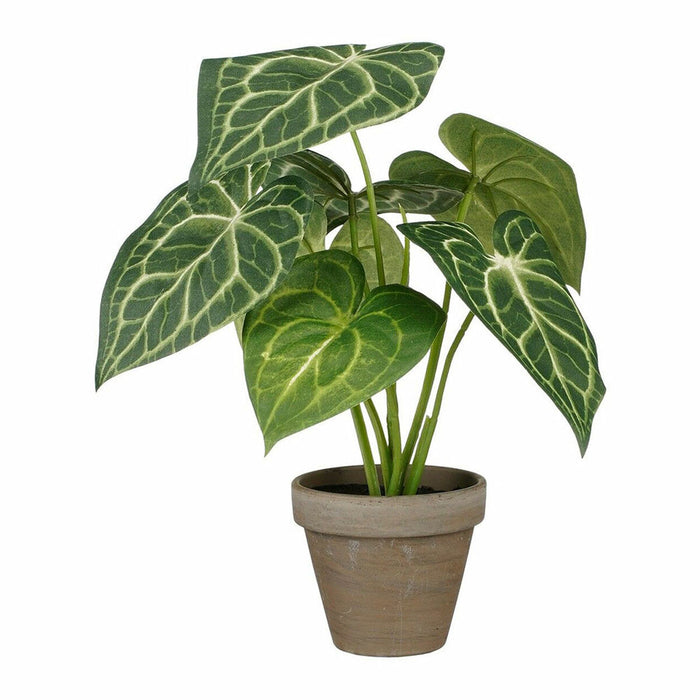 Plante décorative Mica Decorations Caladium Ø 21 x 28 cm Artificielle