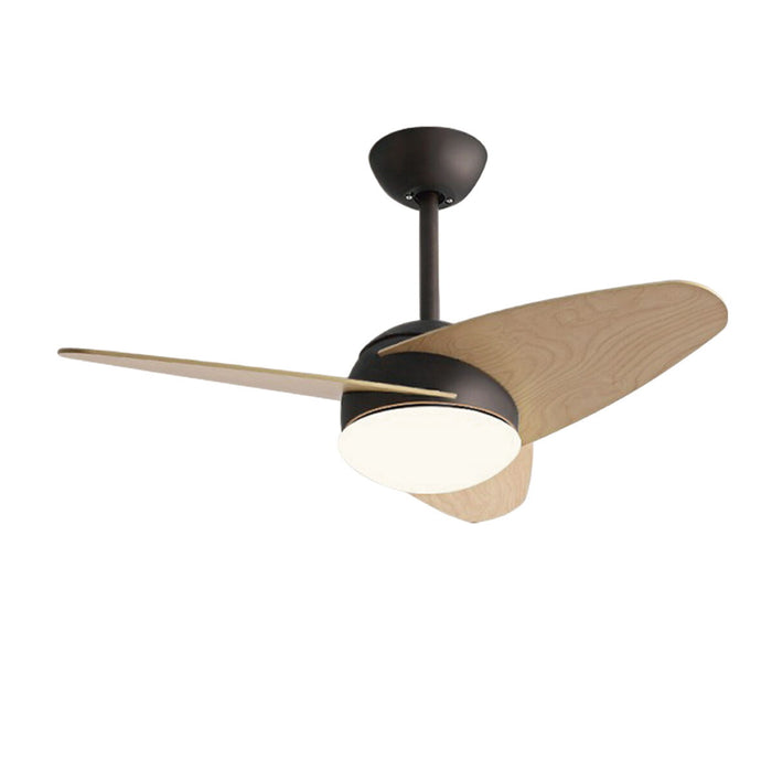 Ventilateur de Plafond avec Lumière Romimex Noir Naturel