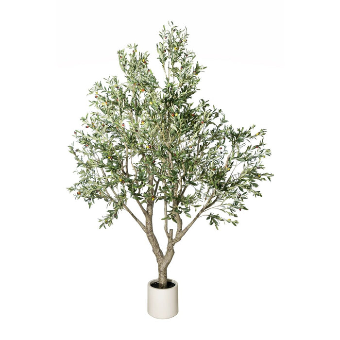 Plante décorative Romimex Plastique Olivier 180 x 250 x 180 cm