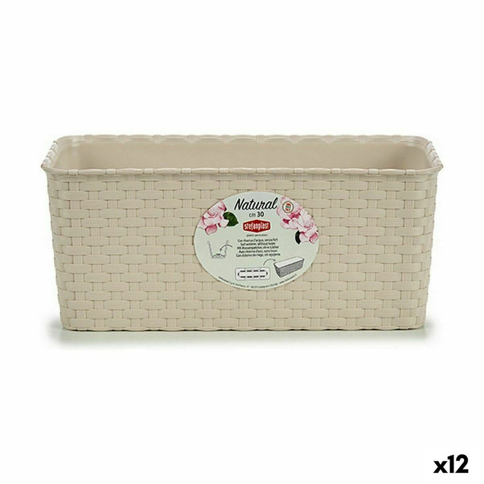 Jardinière Stefanplast Camel Plastique 13 x 11 x 29 cm (12 Unités)